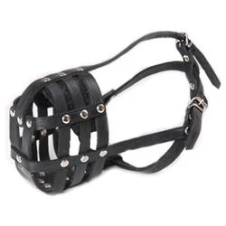 מחסום עור מרושת