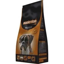 אדיקשן אקטיב