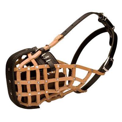 מחסום עור מרושת לאימון ותקיפה