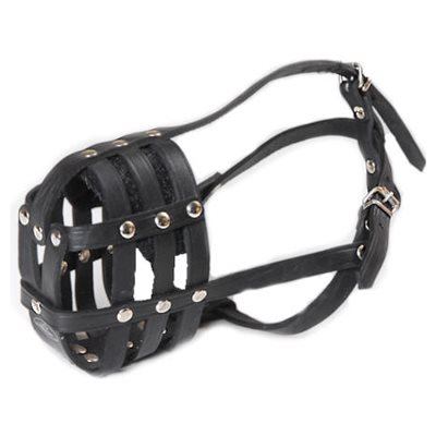 מחסום עור מרושת