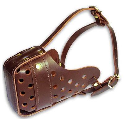 מחסום עור עם חיזוק מתחת בחזית