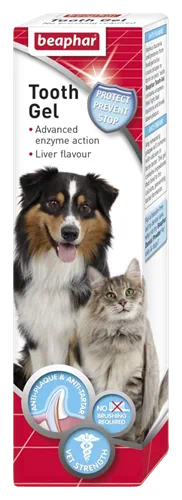 ג'ל אנזימטי לשיניים בטעם כבד ביהפר 100 ג"ר