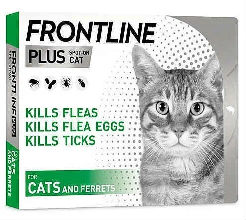 אמפולה פרונטליין פלוס